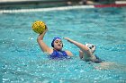 WWPolo vs CC  Wheaton College Women’s Water Polo compete in their sports inaugural match vs Connecticut College. - Photo By: KEITH NORDSTROM : Wheaton, water polo, inaugural